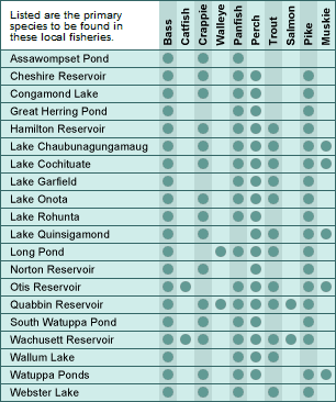 Massachusetts major lakes and fish chart