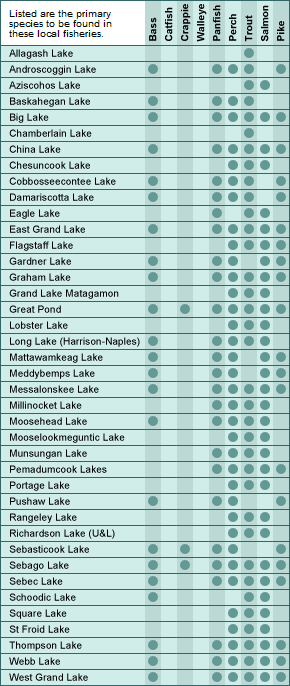 Moosehead Lake Depth Chart