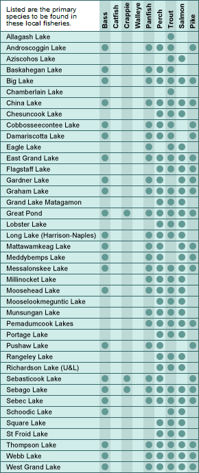 Sebasticook Lake Depth Chart