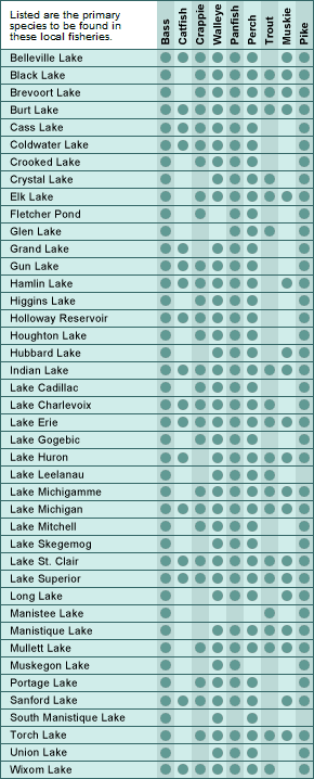 Higgins Lake Mi Depth Chart