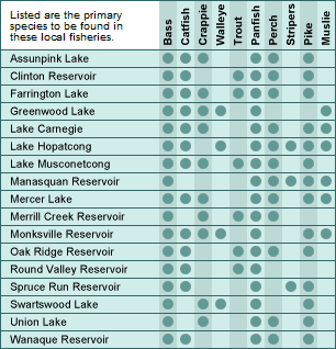 Nj Fish Chart