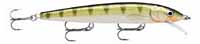 Rapala Husky Jerk for muskie fishing