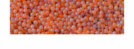 Salmon eggs for trout fishing