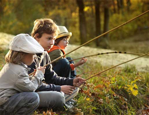 Panfish and sunfish fishing