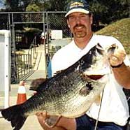 Monster bass caught on a swimbait