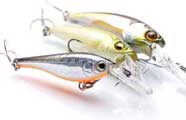 Bass fishing lures