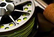 Fly fishing reel