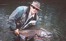 Chinook Salmon