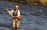 Trout fishing in Missouri