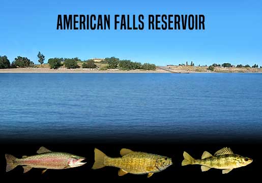 Fishing Report American Falls Reservoir