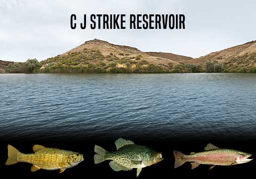 Fishing Report C J Strike Reservoir