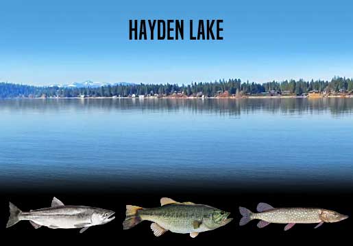 Fishing Report Hayden Lake, ID