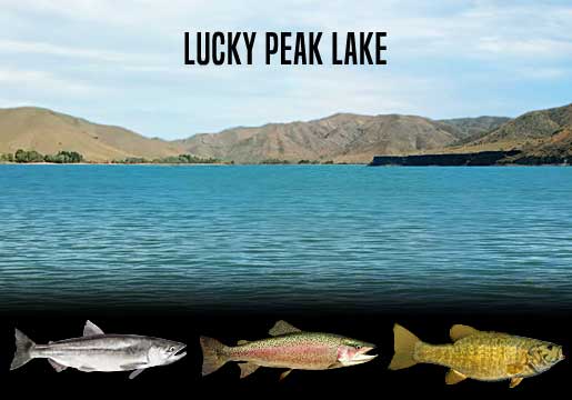 Lucky Peak Lake, ID