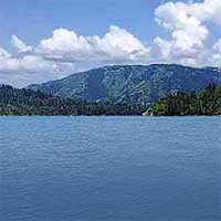 Palisades Reservoir Reports