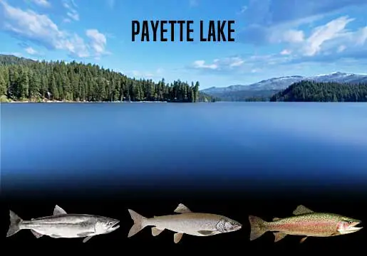 Fishing Report Payette Lake, ID