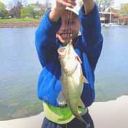 Anthony with a nice Illinois bass