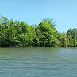 Crab Orchard Lake, Illinois