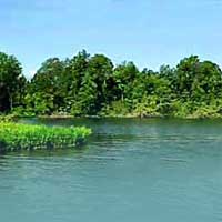 Crab Orchard Lake Reports
