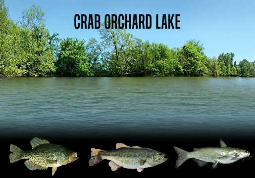 Fishing Report Crab Orchard Lake, IL