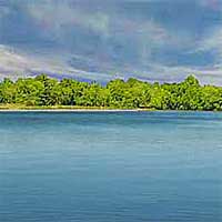 Evergreen Lake Reports