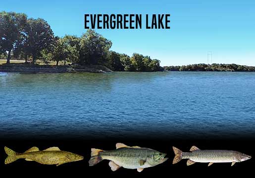 Fishing Report Evergreen Lake, IL