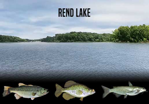 Fishing Report Rend Lake