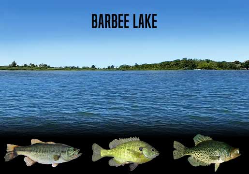 Fishing Report Barbee Lake