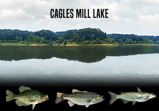 Fishing Report Cagles Mill Lake, IN