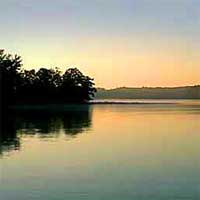 Dogwood Lake Reports