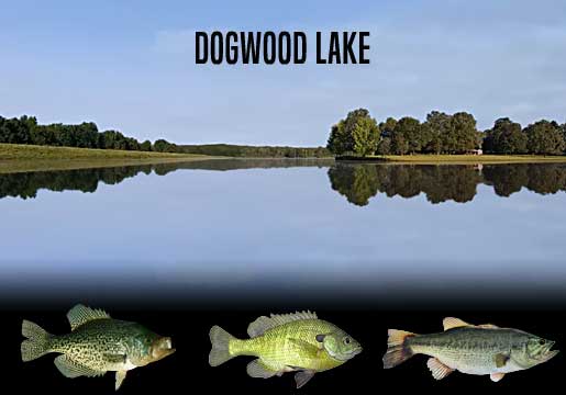 Fishing Report Dogwood Lake, Indiana