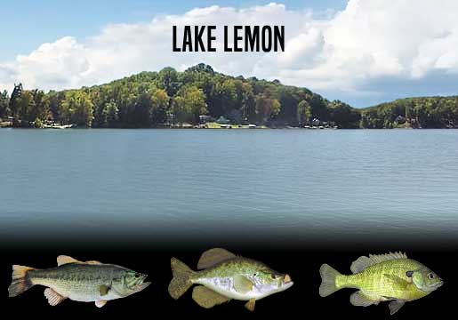 Fishing Report Lake Lemon, IN