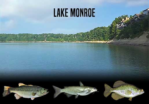 Fishing Monroe Lake, Indiana