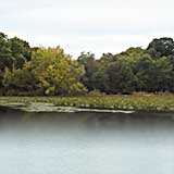 Pine Lake, Indiana