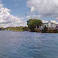 Pine Lake Reports