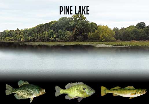 Fishing Report Pine Lake, IN