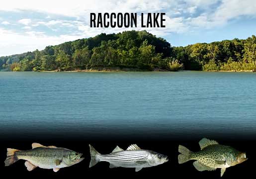 Fishing Report Cecil M Harden Lake, Indiana