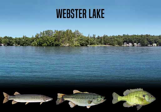Fishing Report Webster Lake, IN