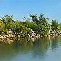 El Dorado Lake Reports