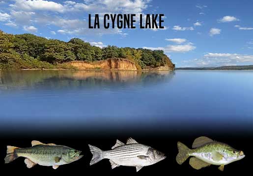 Fishing Report La Cygne Lake