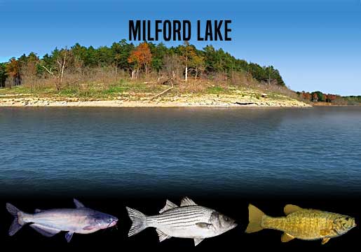 Fishing Report Milford Lake, KS