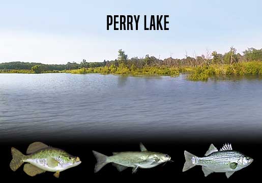 Fishing Report Perry Lake, KS
