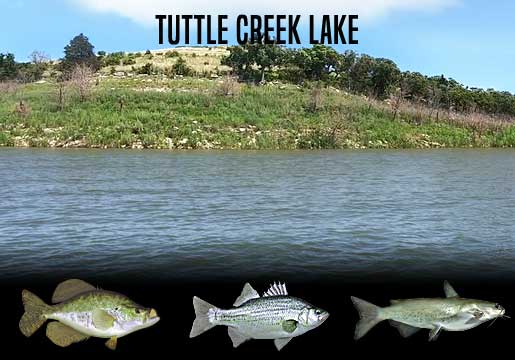 Fishing Report Tuttle Creek Lake
