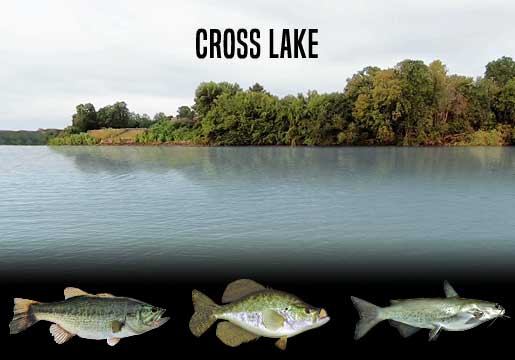 Fishing Report Cross Lake, LA