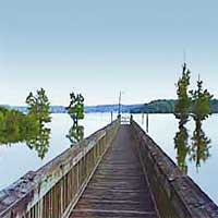 Lake D’Arbonne Reports