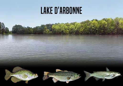 Fishing Report Lake D’Arbonne, LA
