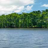 Lake Maurepas, Louisiana