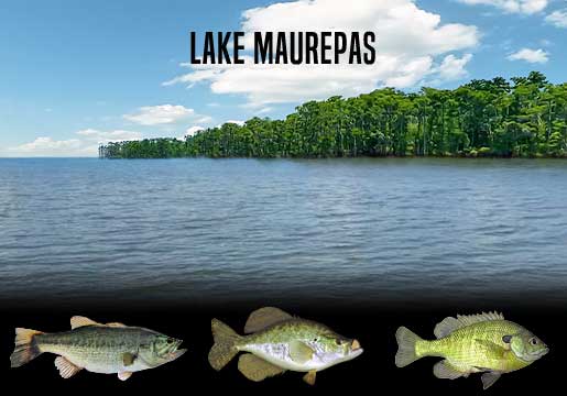 Fishing Report Lake Maurepas, LA