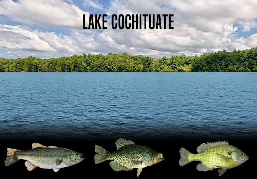 Fishing Report Lake Cochituate, MA