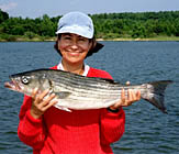 Maryland Striped Bass