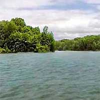 Little Seneca Lake Reports